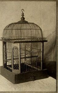 skylark-cage